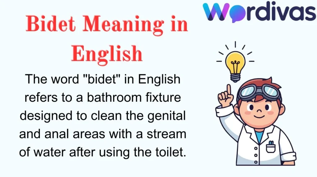 Bidet Meaning in English