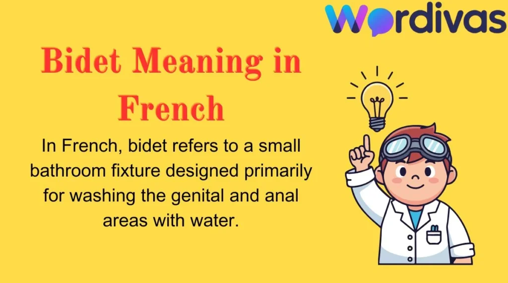 Bidet Meaning in French