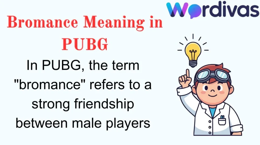 Bromance Meaning in PUBG