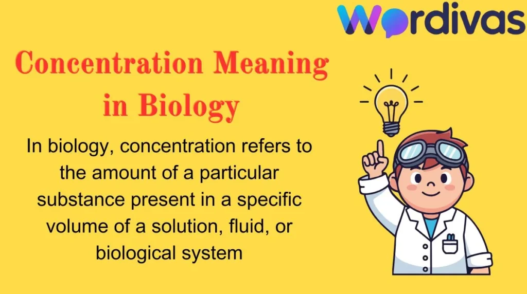 Concentration Meaning in Biology