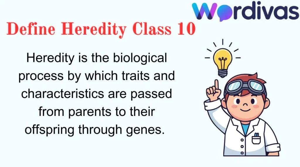 Define Heredity Class 10