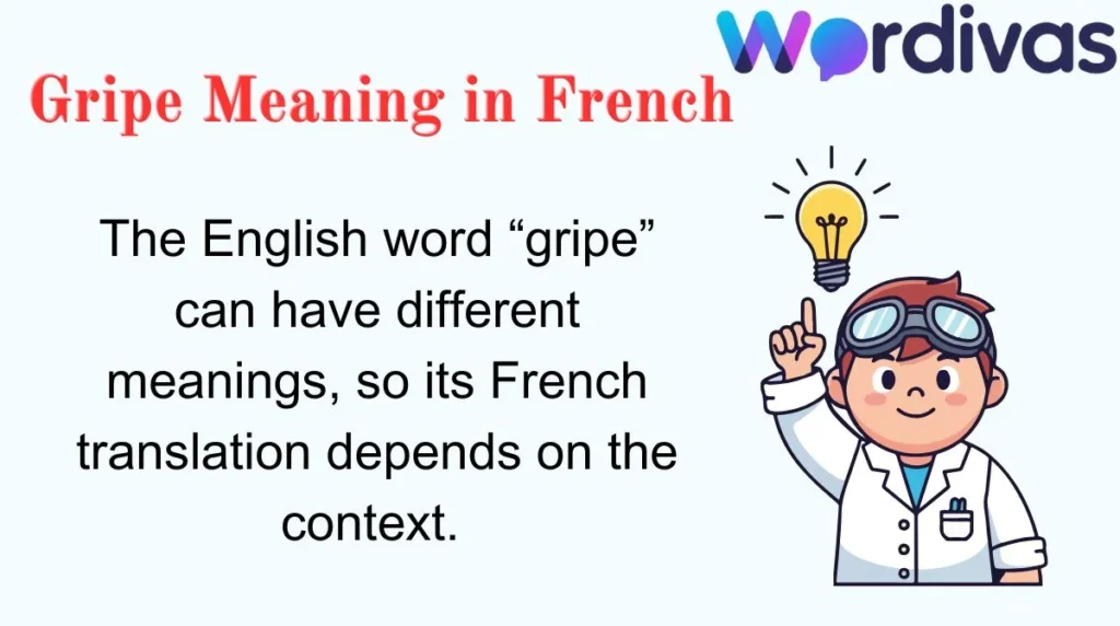 Gripe Meaning in French