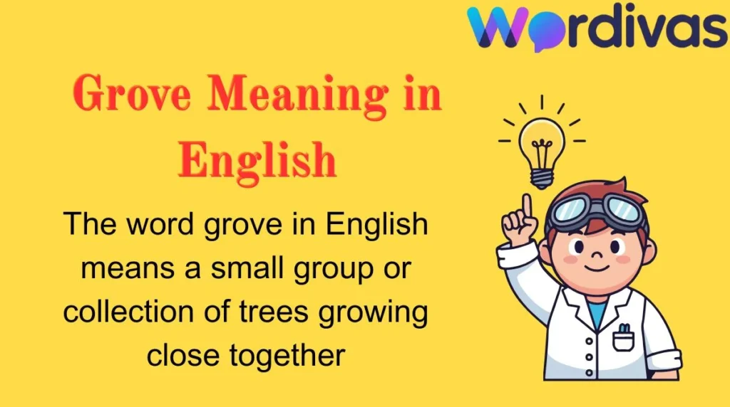 Grove Meaning in English