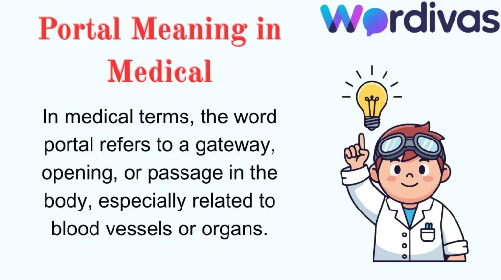 Portal Meaning in Medical