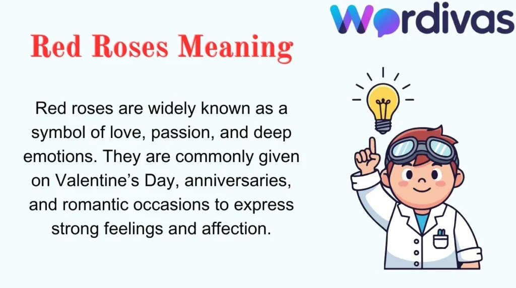 Red Roses Meaning