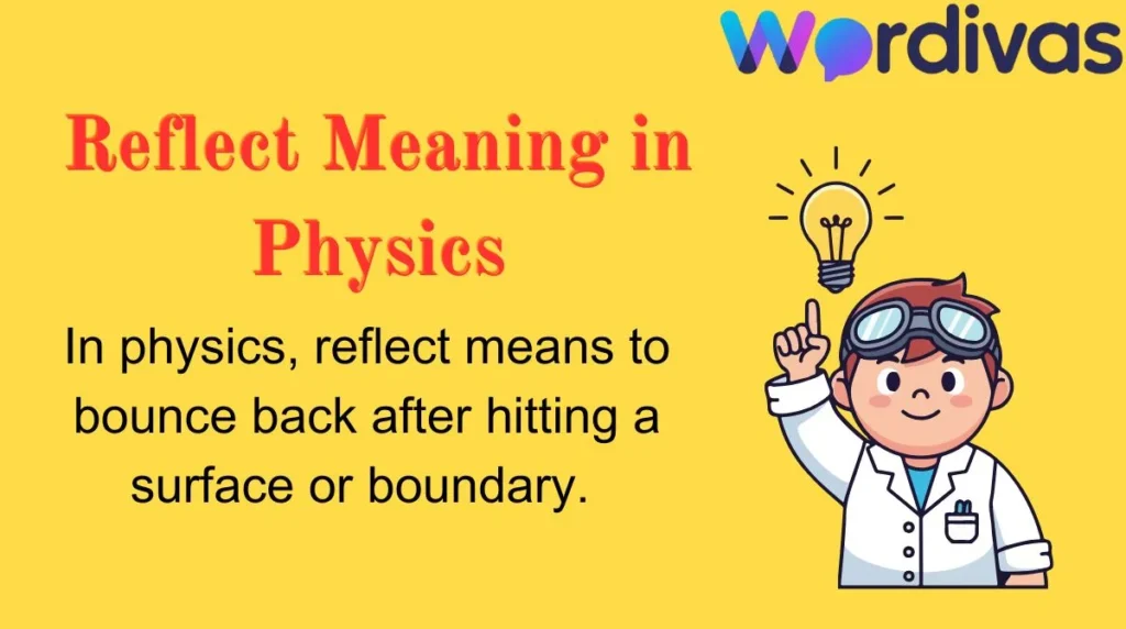 Reflect Meaning in Physics