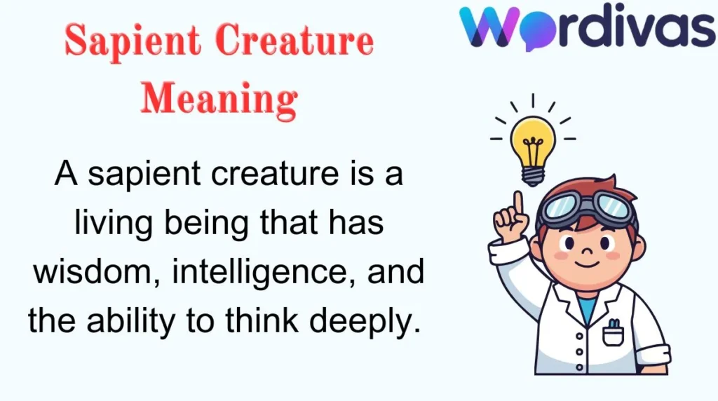 Sapient Creature Meaning