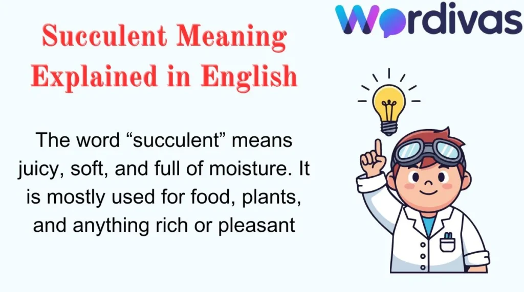 Succulent Meaning Explained in English