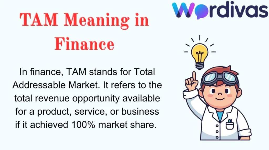 TAM Meaning in Finance