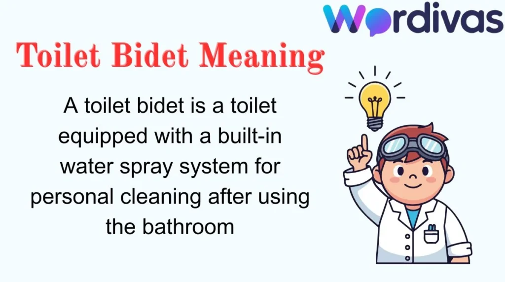 Toilet Bidet Meaning