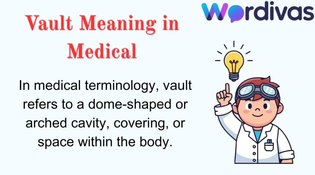 Vault Meaning in Medical