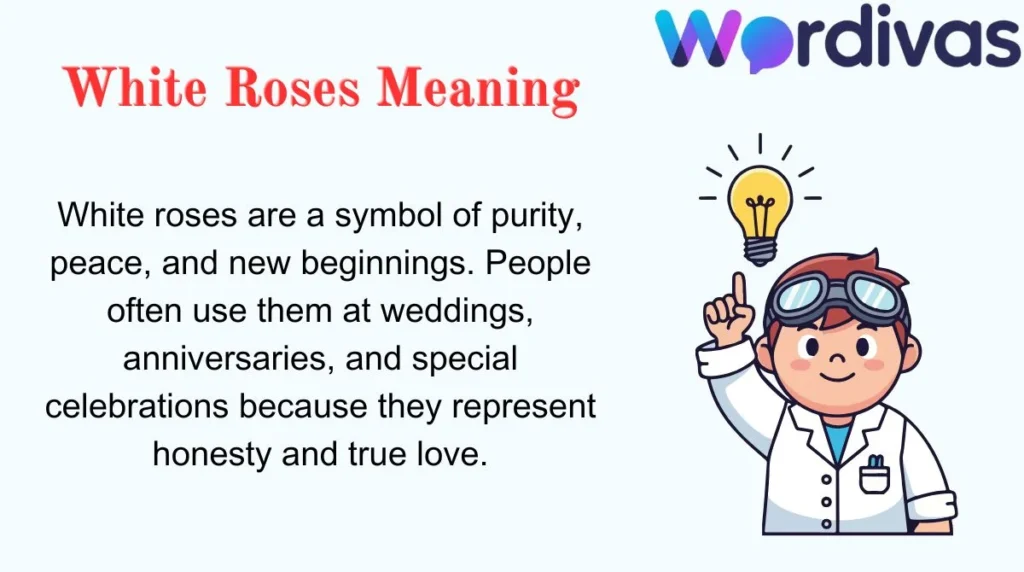 White Roses Meaning