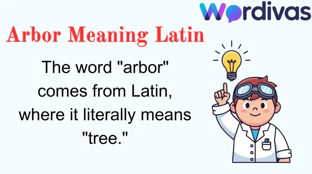 Arbor Meaning Latin