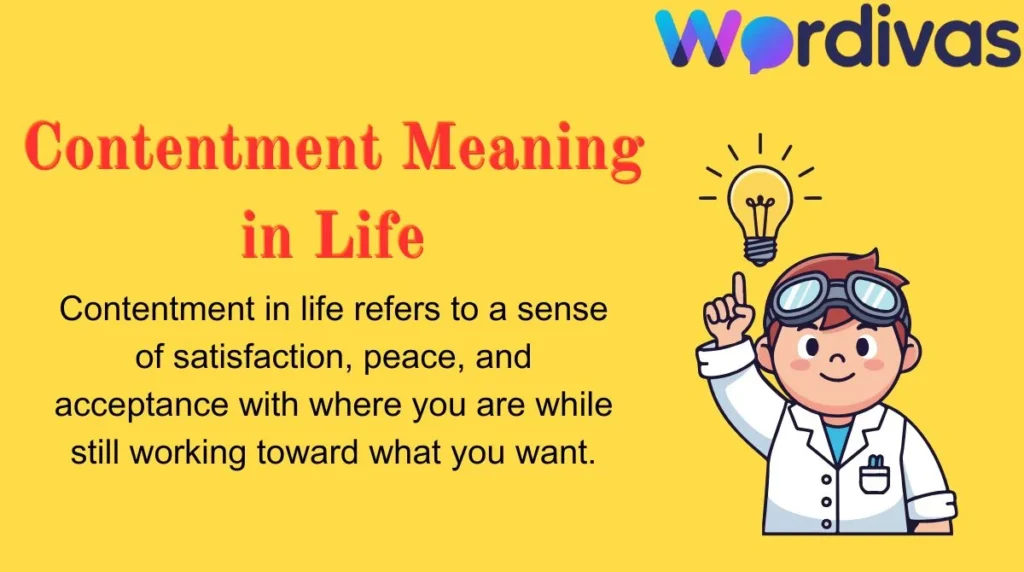 Contentment Meaning in Life