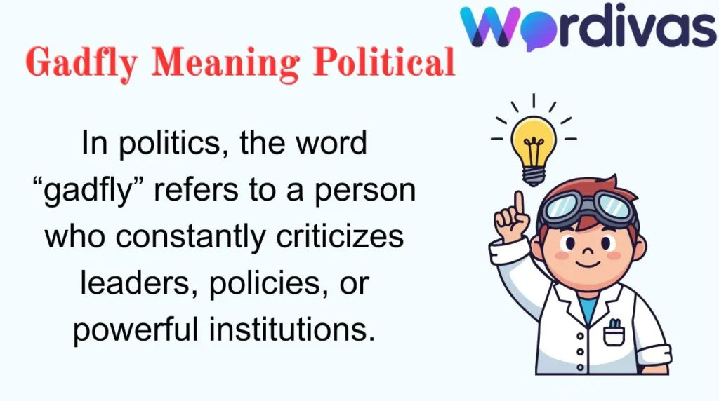 Gadfly Meaning Political