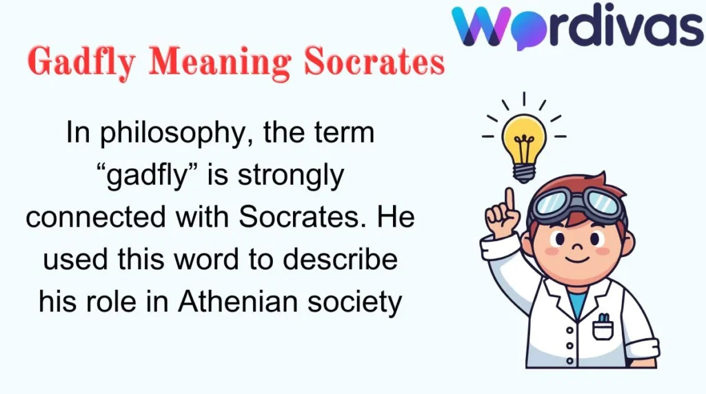 Gadfly Meaning Socrates