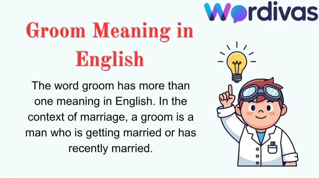 Groom Meaning in English