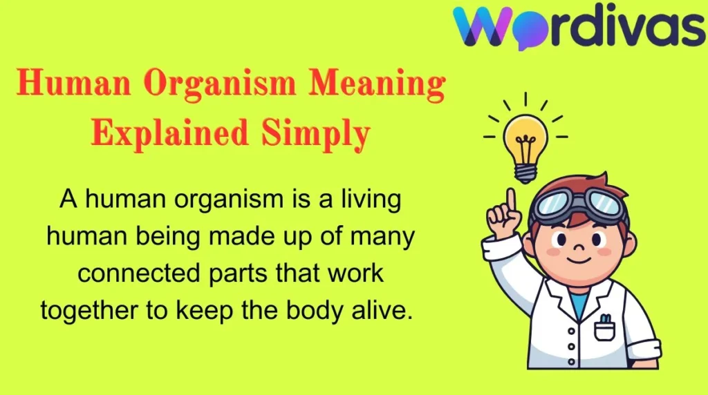 Human Organism Meaning Explained Simply