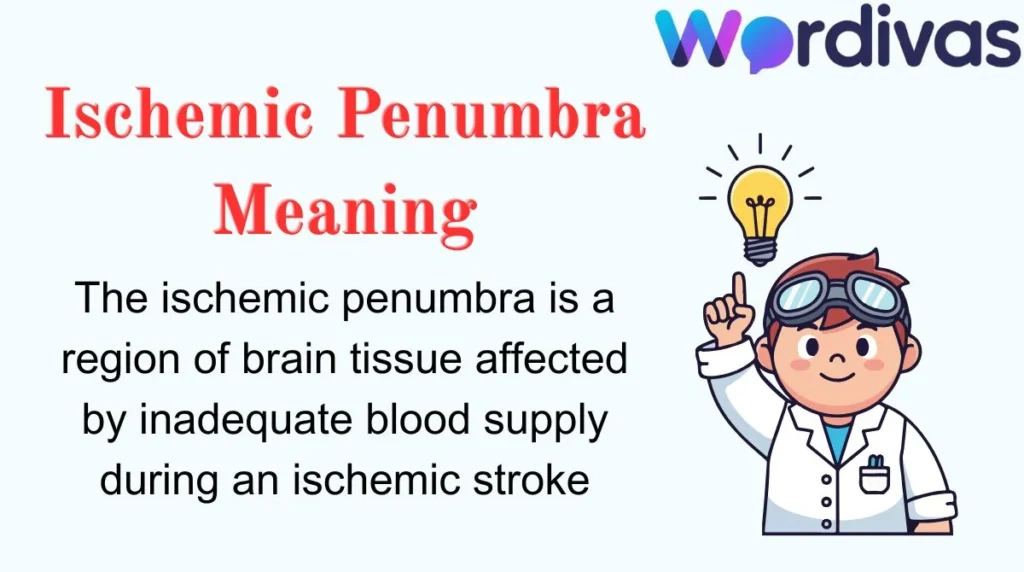 Ischemic Penumbra Meaning