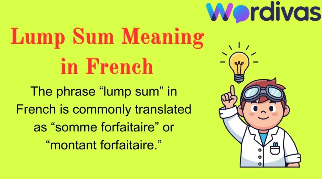 Lump Sum Meaning in French