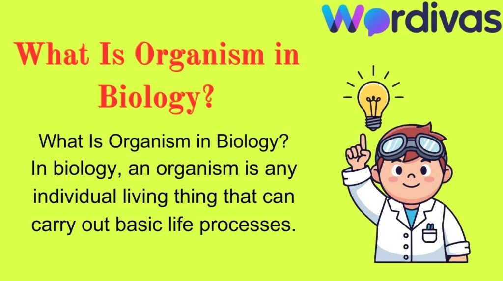 What Is Organism in Biology?