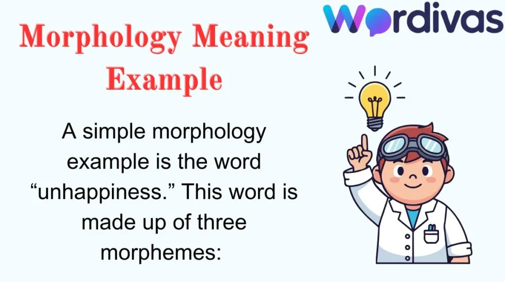 Morphology Meaning Example