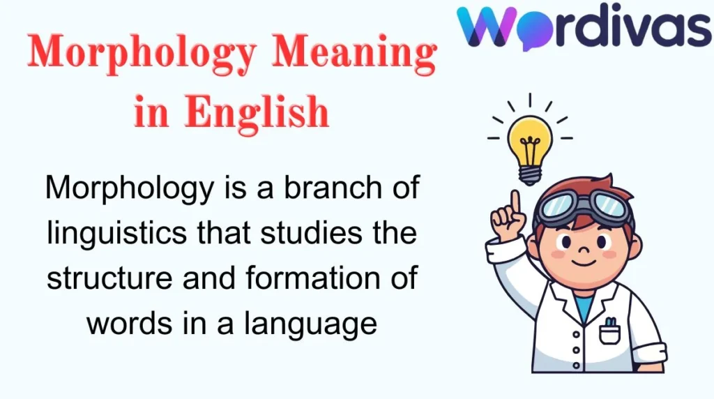 Morphology Meaning in English