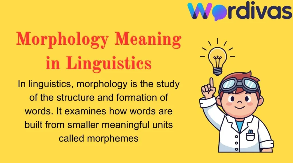 Morphology Meaning in Linguistics
