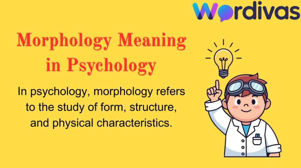 Morphology Meaning in Psychology