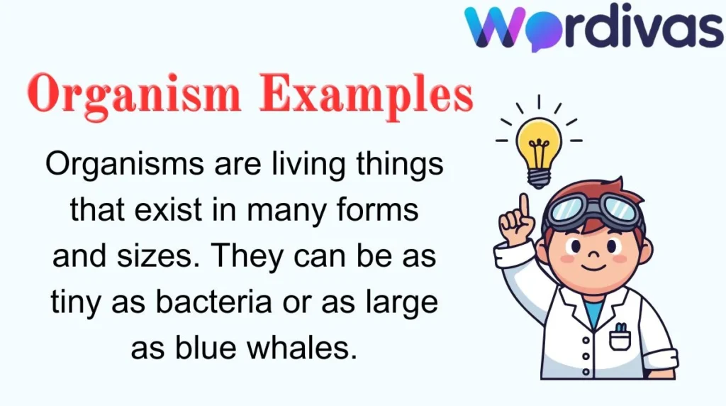 Organism Examples