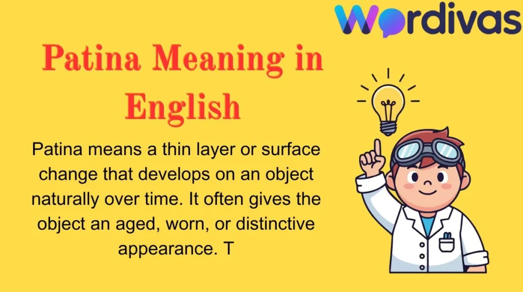 Patina Meaning in English