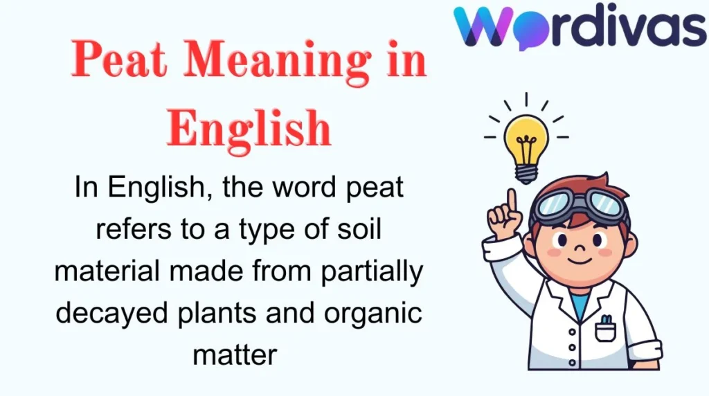 Peat Meaning in English