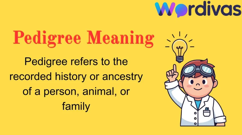 Pedigree Meaning