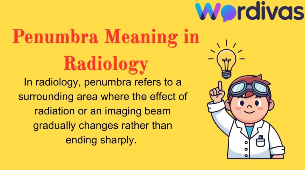 Penumbra Meaning in Radiology