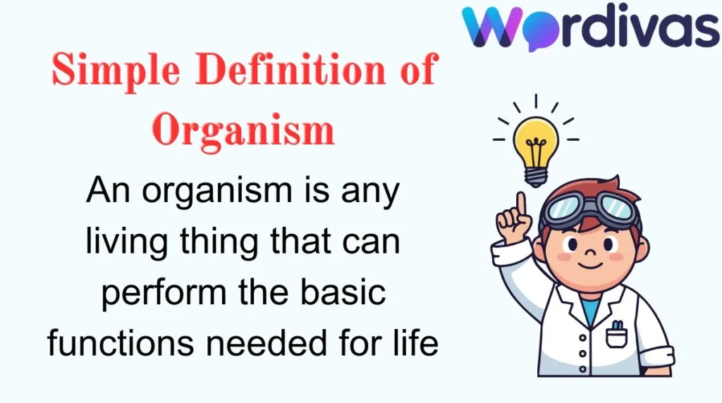 Simple Definition of Organism