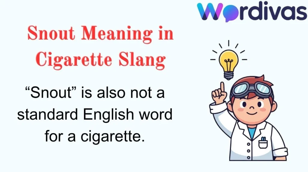 Snout Meaning in Cigarette Slang