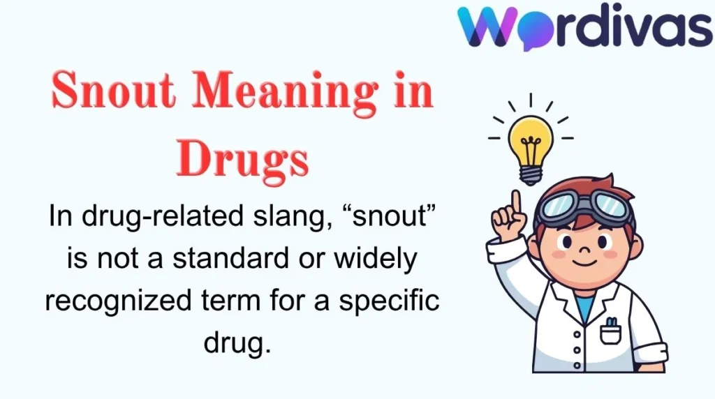 Snout Meaning in Drugs