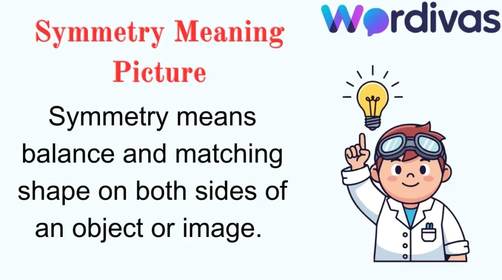 Symmetry Meaning Picture