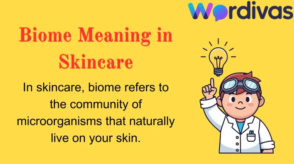 Biome Meaning in Skincare