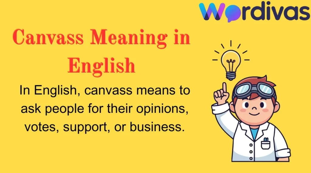 Canvass Meaning in English