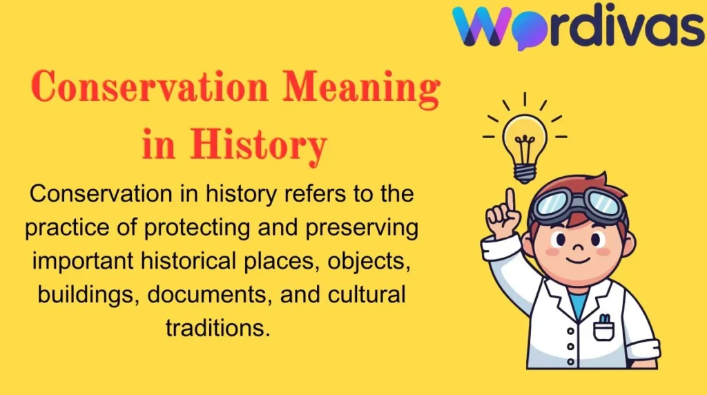 Conservation Meaning in History