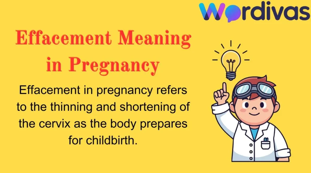 Effacement Meaning in Pregnancy