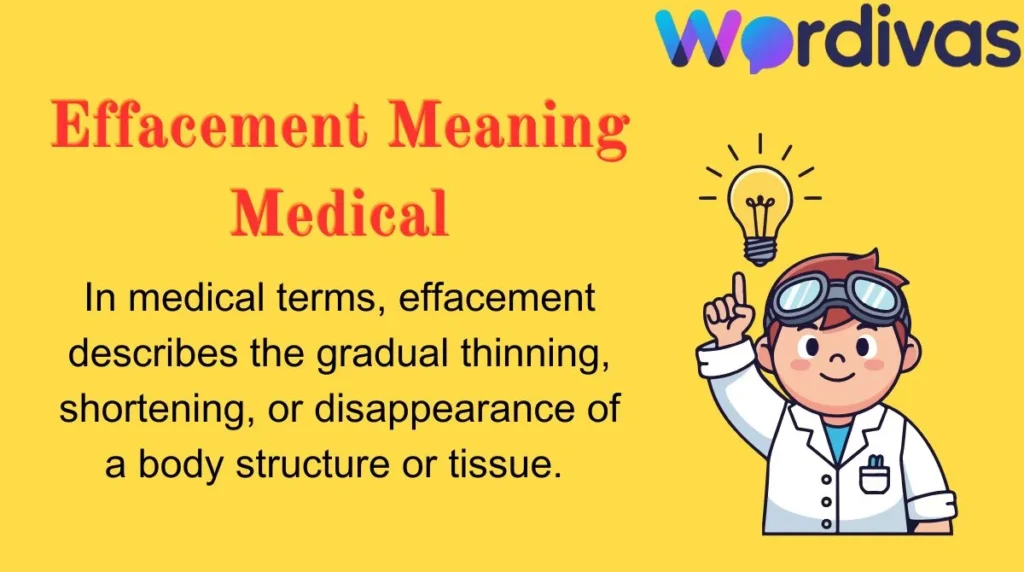 Effacement Meaning Medical