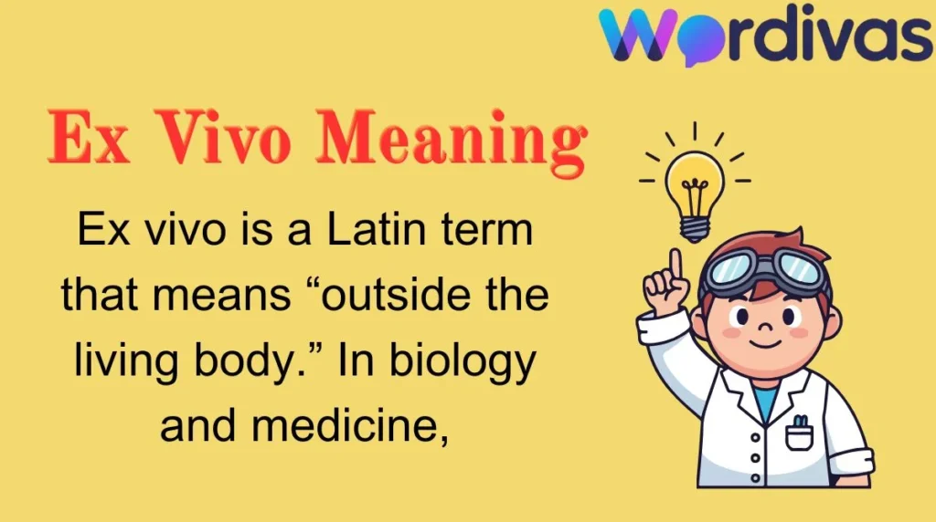 Ex Vivo Meaning