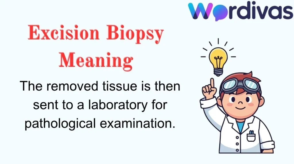 Excision Biopsy Meaning