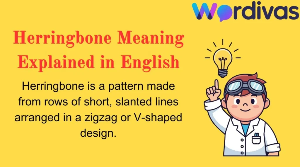 Herringbone Meaning Explained in English