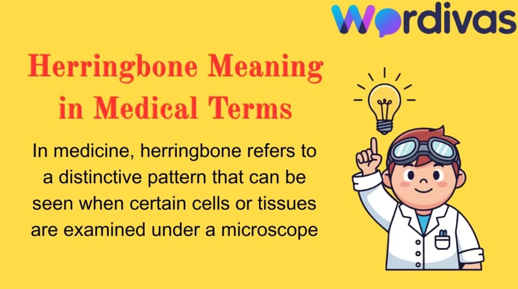 Herringbone Meaning in Medical Terms