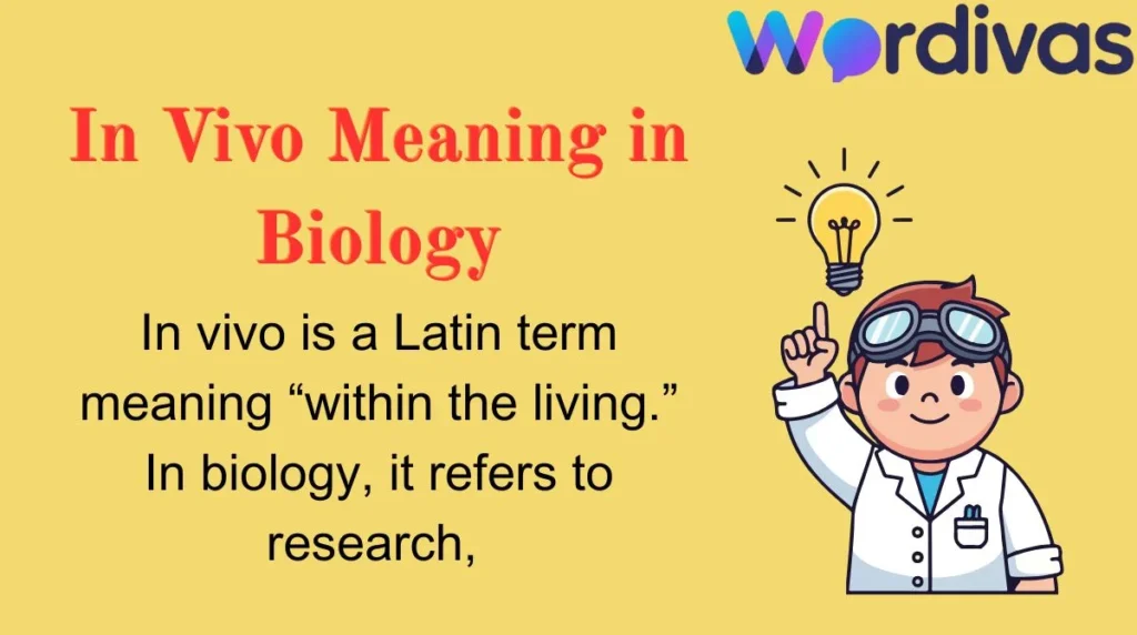 In Vivo Meaning in Biology