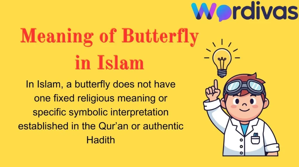 Meaning of Butterfly in Islam