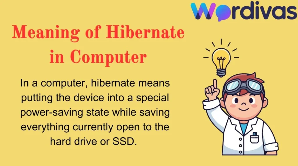 Meaning of Hibernate in Computer